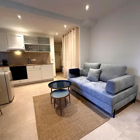 公寓 Bourgeois 3br & - Terrace, Walk To Croisette 戛纳